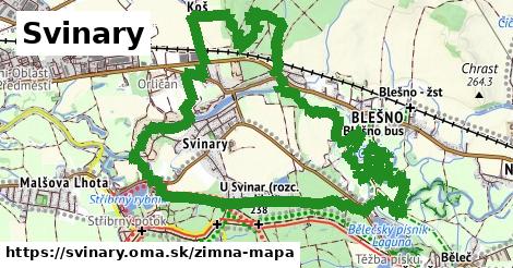 ikona Zimná mapa zimna-mapa v svinary