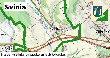 Svinia