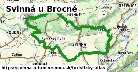 Svinná u Brocné