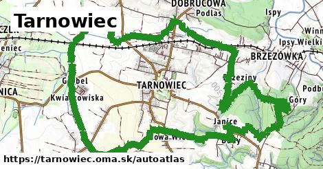 ikona Mapa autoatlas v tarnowiec