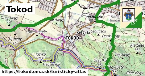 ikona Turistická mapa turisticky-atlas v tokod