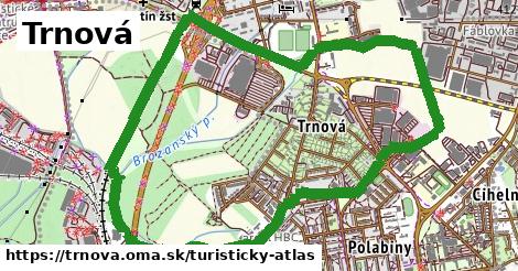 Trnová