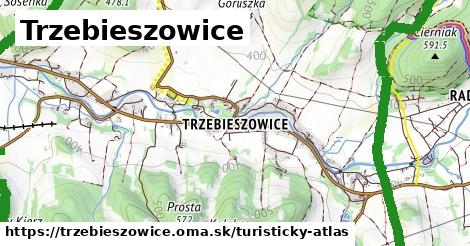 ikona Turistická mapa turisticky-atlas v trzebieszowice