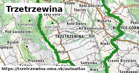 ikona Mapa autoatlas v trzetrzewina