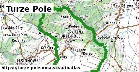 ikona Mapa autoatlas v turze-pole