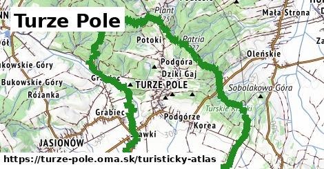 Turze Pole