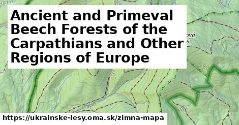 ikona Zimná mapa zimna-mapa v ukrainske-lesy