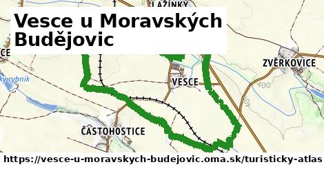 Vesce u Moravských Budějovic