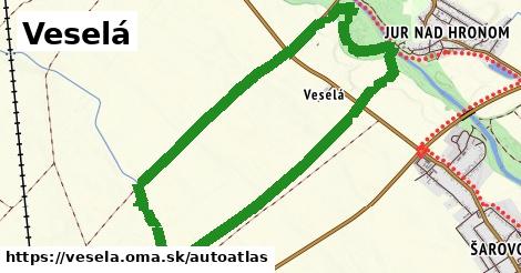 ikona Mapa autoatlas v vesela