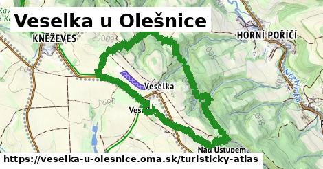 ikona Turistická mapa turisticky-atlas v veselka-u-olesnice