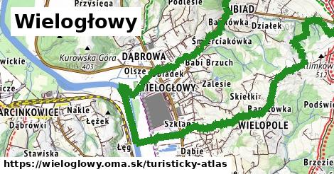 ikona Turistická mapa turisticky-atlas v wieloglowy