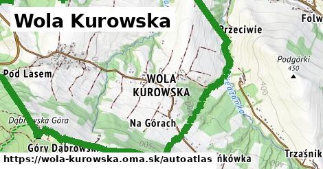 ikona Mapa autoatlas v wola-kurowska