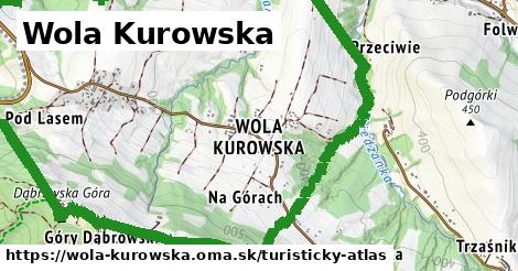 ikona Turistická mapa turisticky-atlas v wola-kurowska