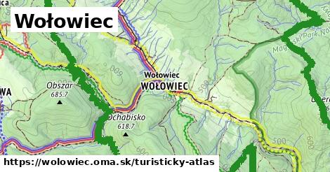 ikona Turistická mapa turisticky-atlas v wolowiec