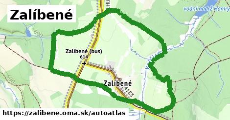 ikona Mapa autoatlas v zalibene