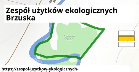 Zespół użytków ekologicznych Brzuska