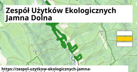 Zespół Użytków Ekologicznych Jamna Dolna