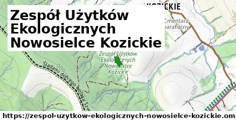 Zespół Użytków Ekologicznych Nowosielce Kozickie