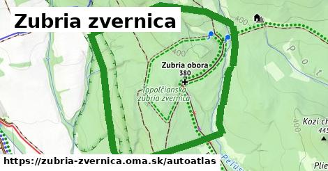 ulice v Zubria zvernica