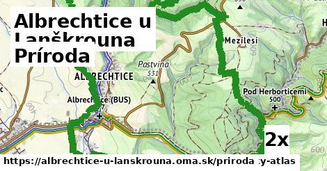 príroda v Albrechtice u Lanškrouna