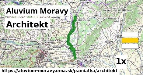 Architekt, Aluvium Moravy