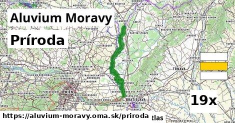 príroda v Aluvium Moravy