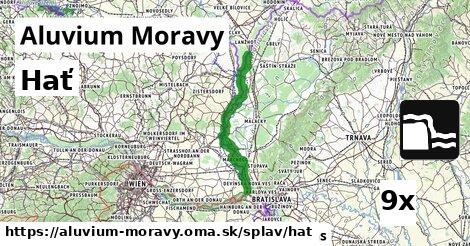 Hať, Aluvium Moravy