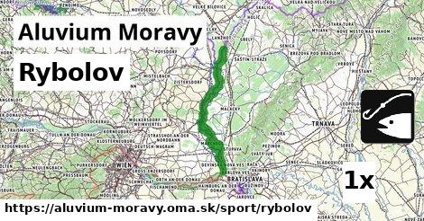 Rybolov, Aluvium Moravy