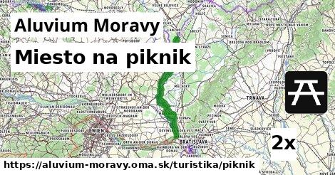 Miesto na piknik, Aluvium Moravy