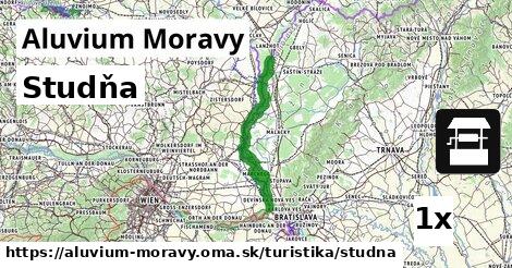 Studňa, Aluvium Moravy