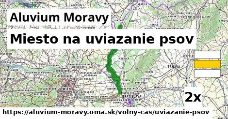 Miesto na uviazanie psov, Aluvium Moravy
