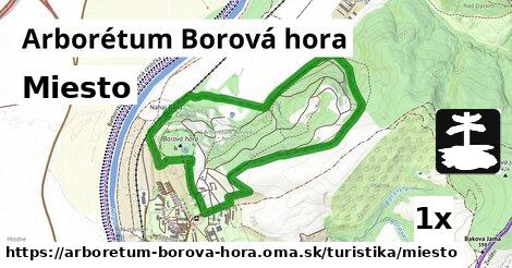 Miesto, Arborétum Borová hora