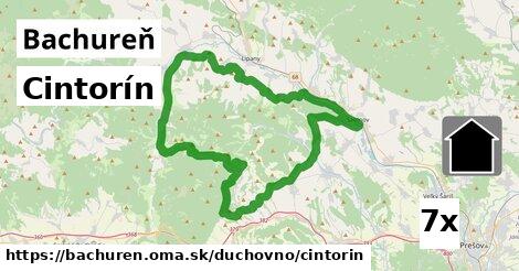 Cintorín, Bachureň