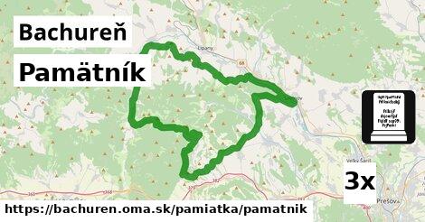 Pamätník, Bachureň