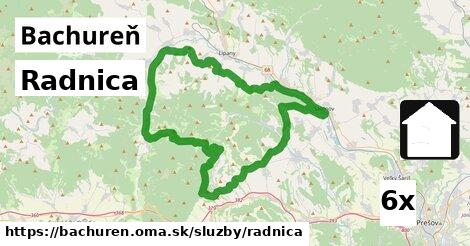 Radnica, Bachureň