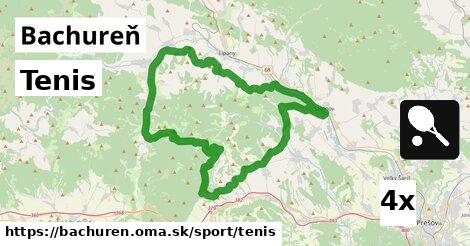 Tenis, Bachureň