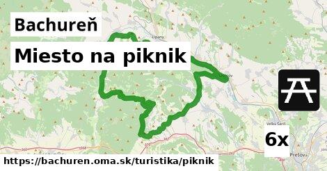 Miesto na piknik, Bachureň