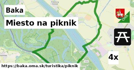 Miesto na piknik, Baka