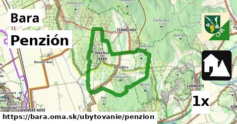 Penzión, Bara