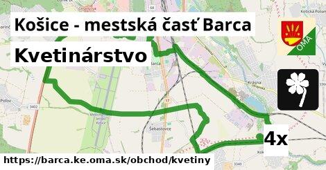 Kvetinárstvo, Košice - mestská časť Barca