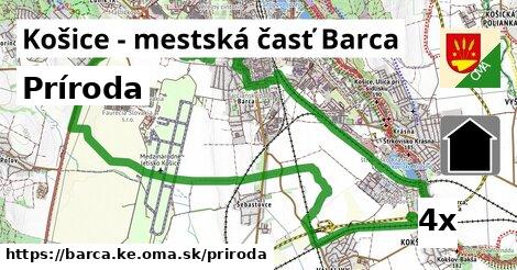 príroda v Košice - mestská časť Barca