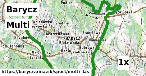 multi v Barycz
