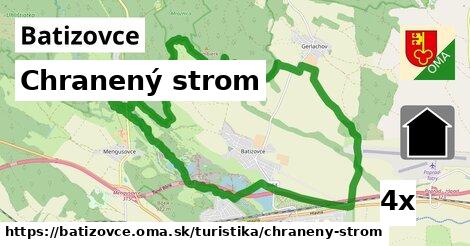 Chranený strom, Batizovce