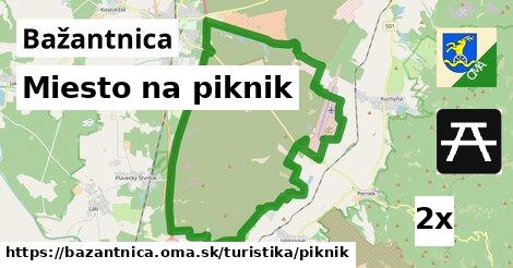 Miesto na piknik, Bažantnica