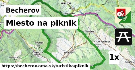 Miesto na piknik, Becherov