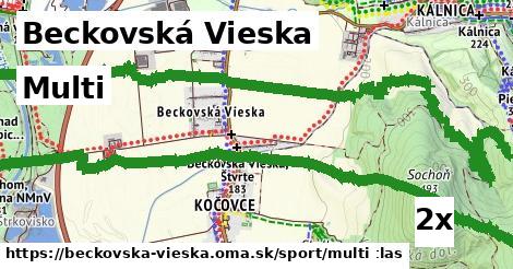 multi v Beckovská Vieska