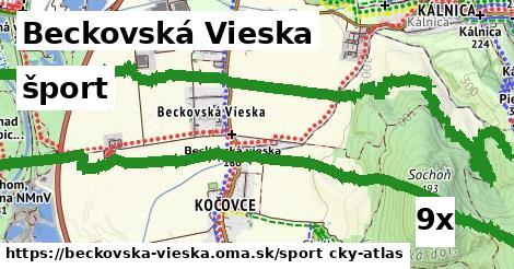 šport v Beckovská Vieska