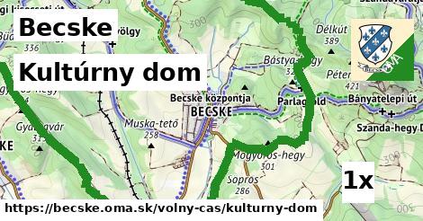 Kultúrny dom, Becske