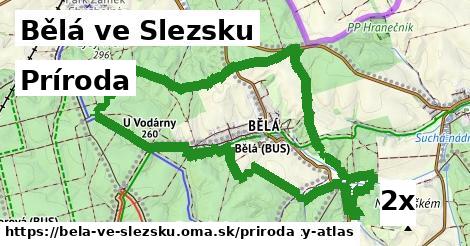 príroda v Bělá ve Slezsku