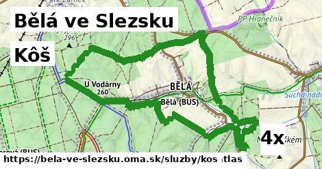 Kôš, Bělá ve Slezsku